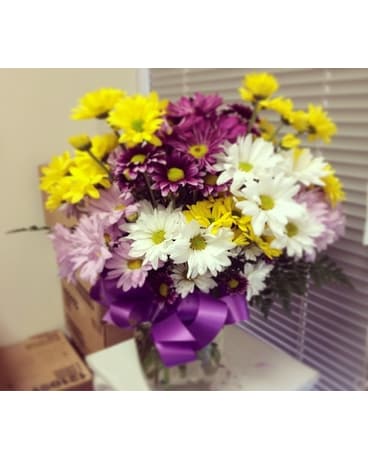 Daisy Love